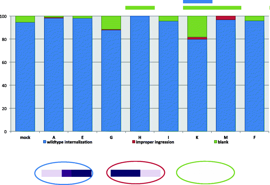 Fig. 12