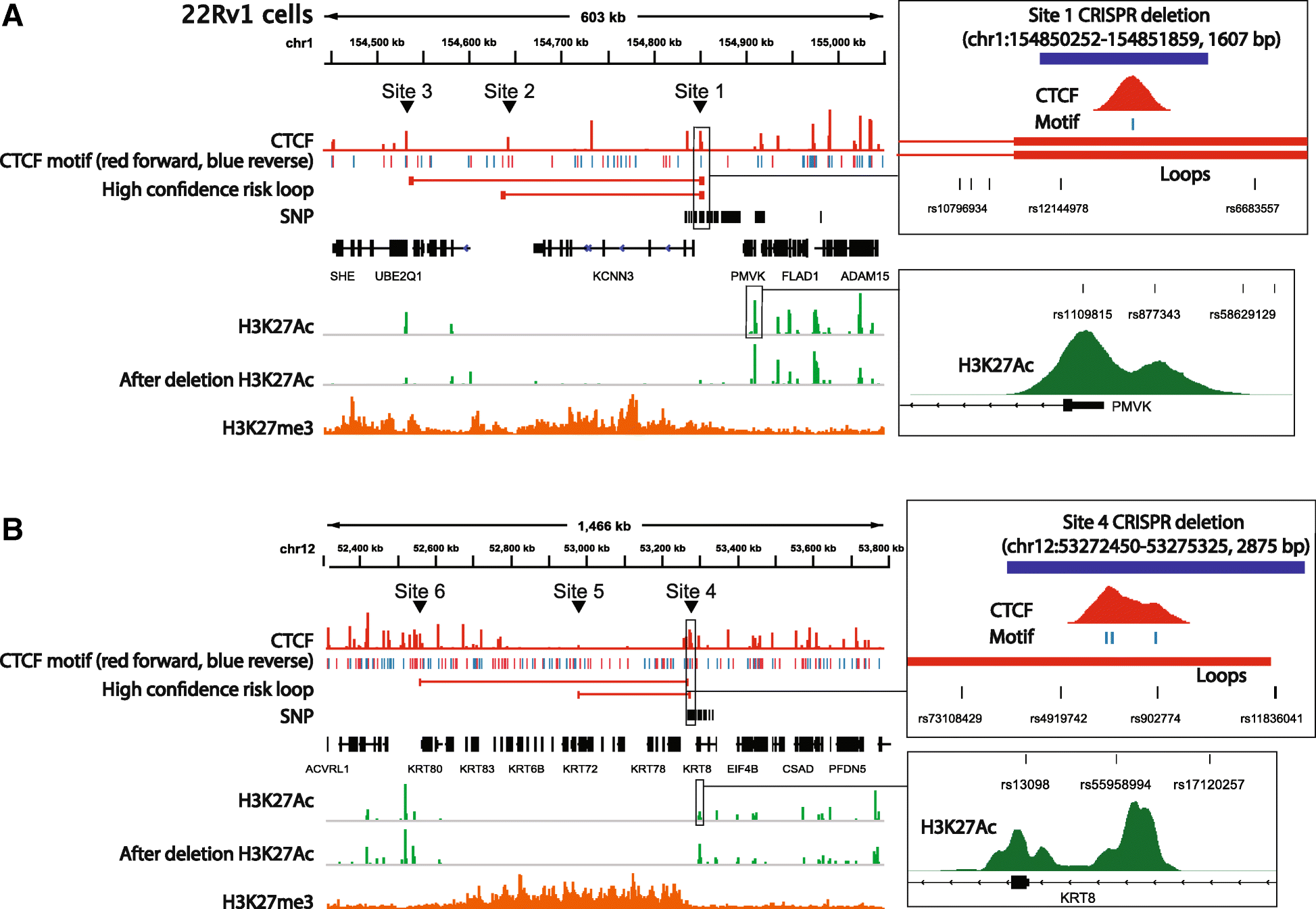 Fig. 10