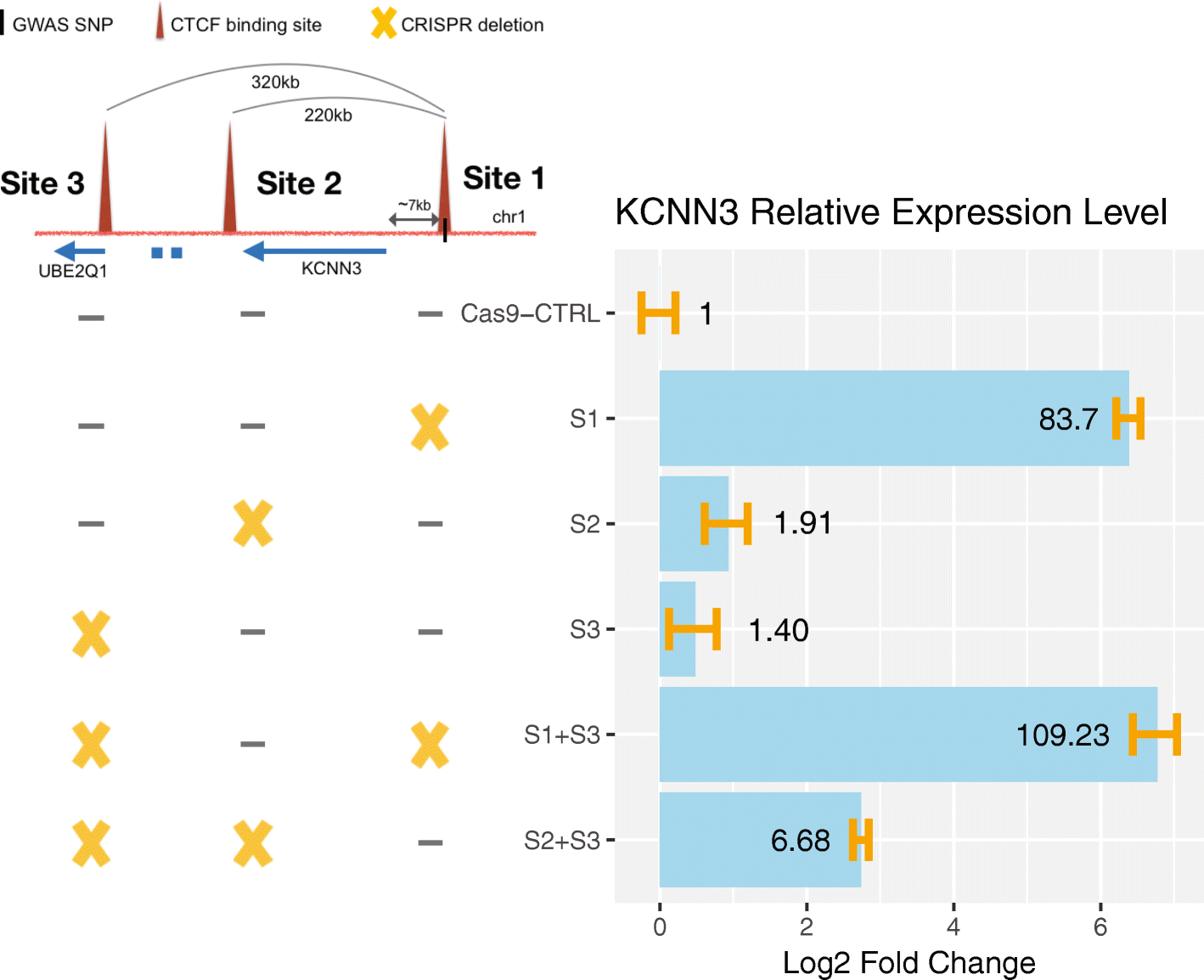 Fig. 7