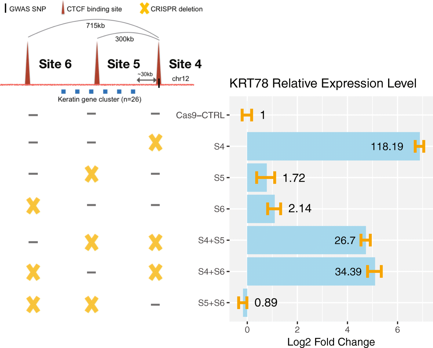 Fig. 9