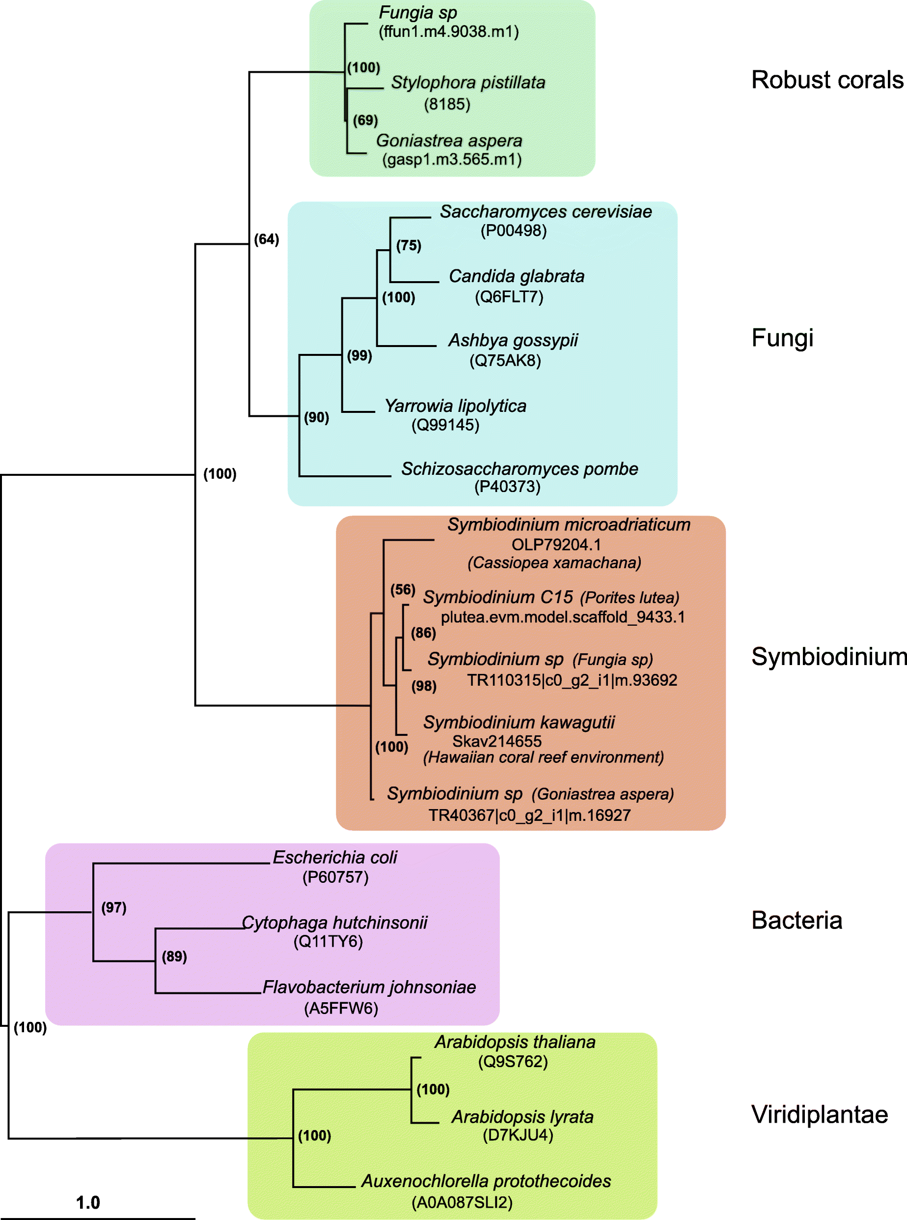 Fig. 6