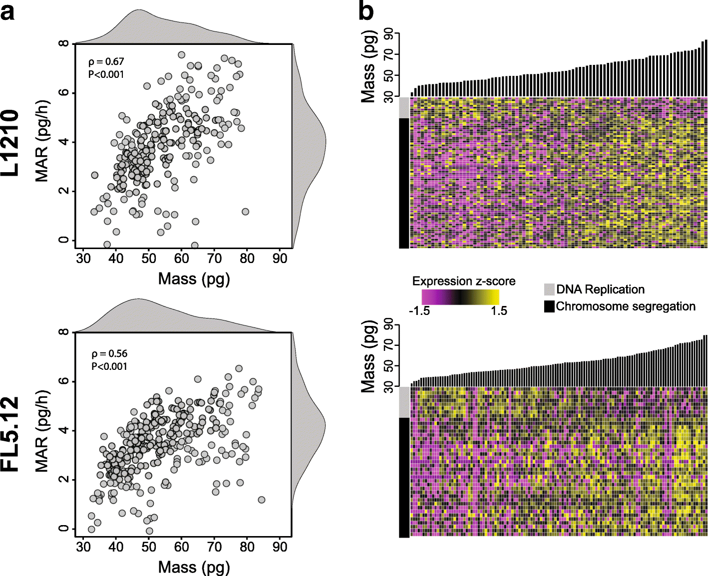 Linking Single Cell Measurements Of Mass Growth Rate And Gene Expression Genome Biology Full Text