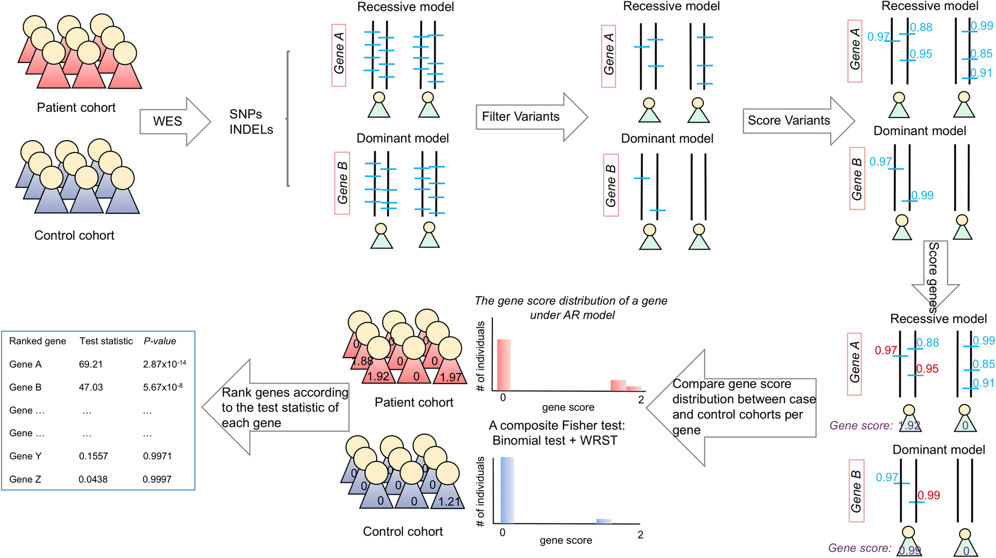 Fig. 1