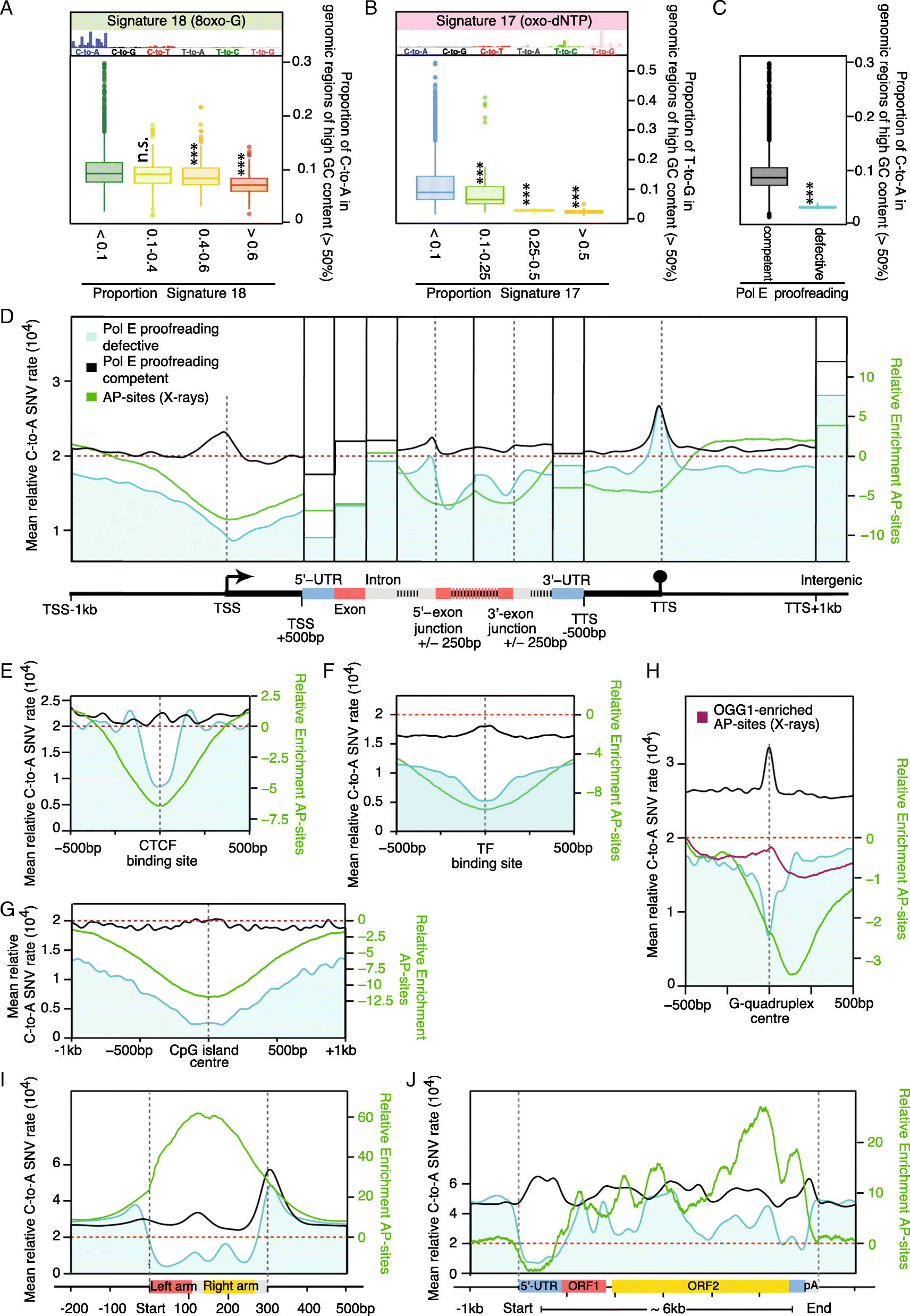 Fig. 5