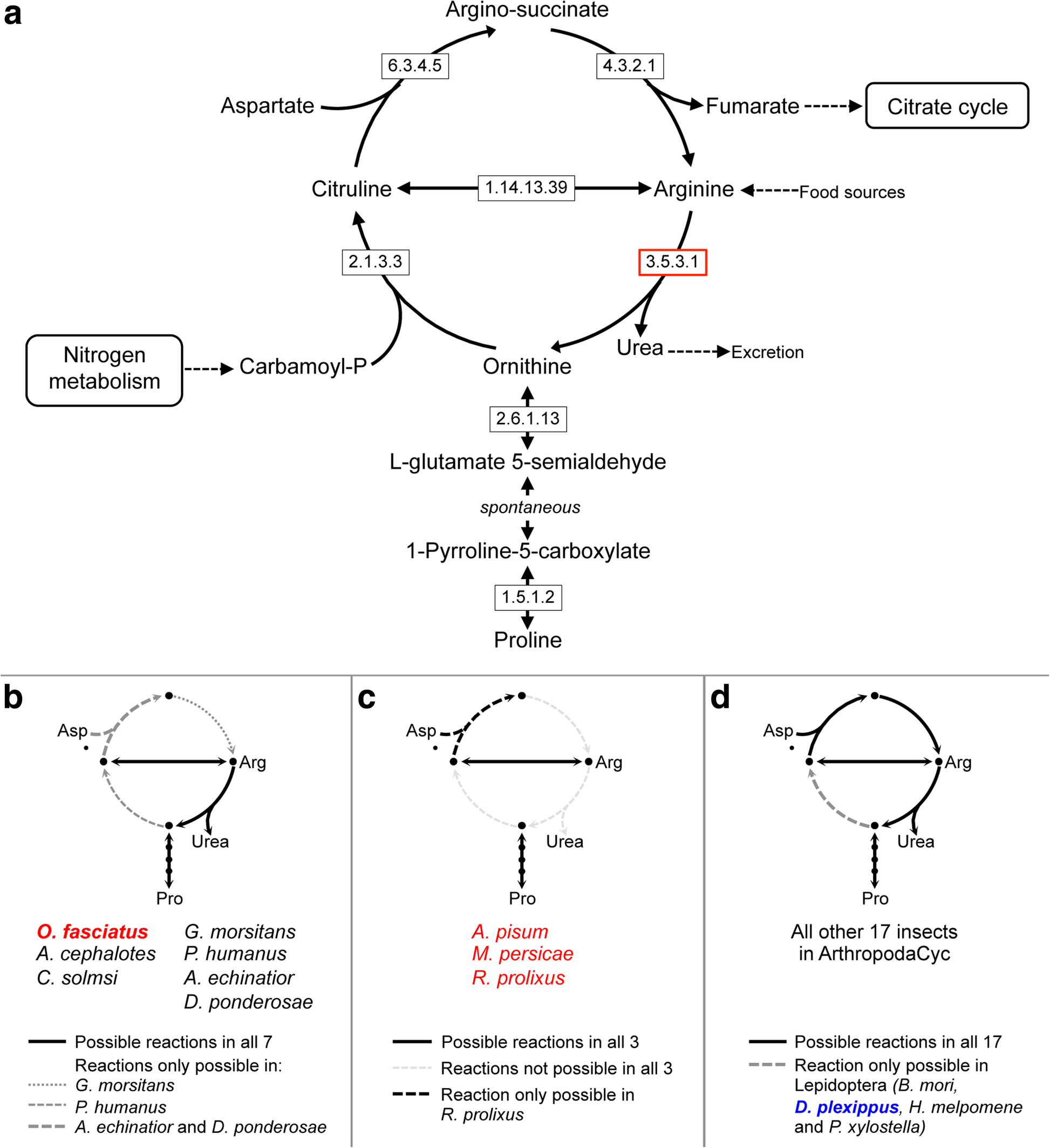 Fig. 10