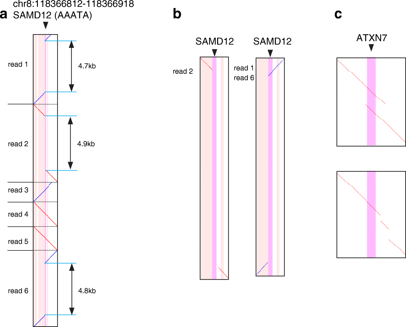 Fig. 6