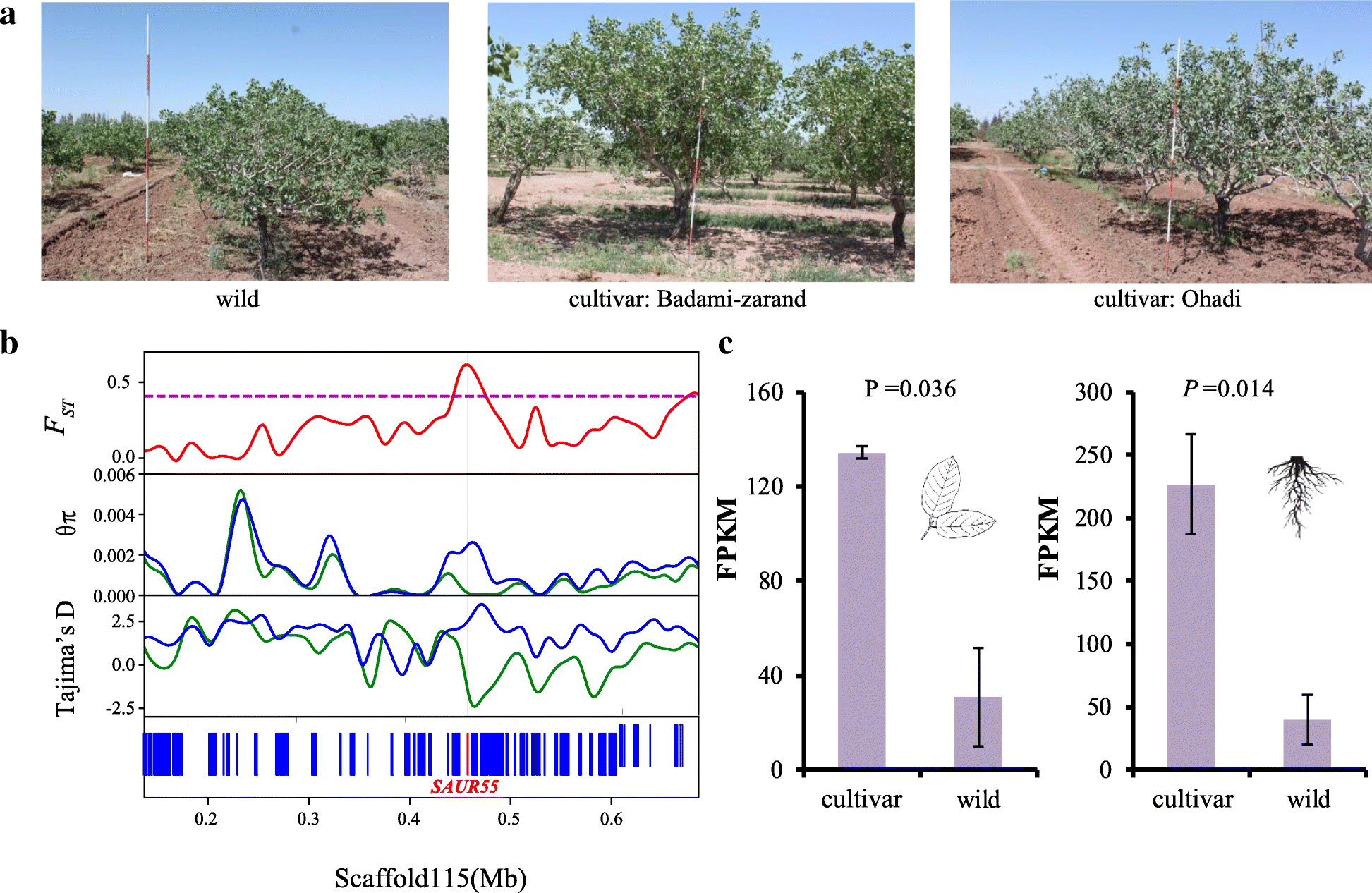 Fig. 5