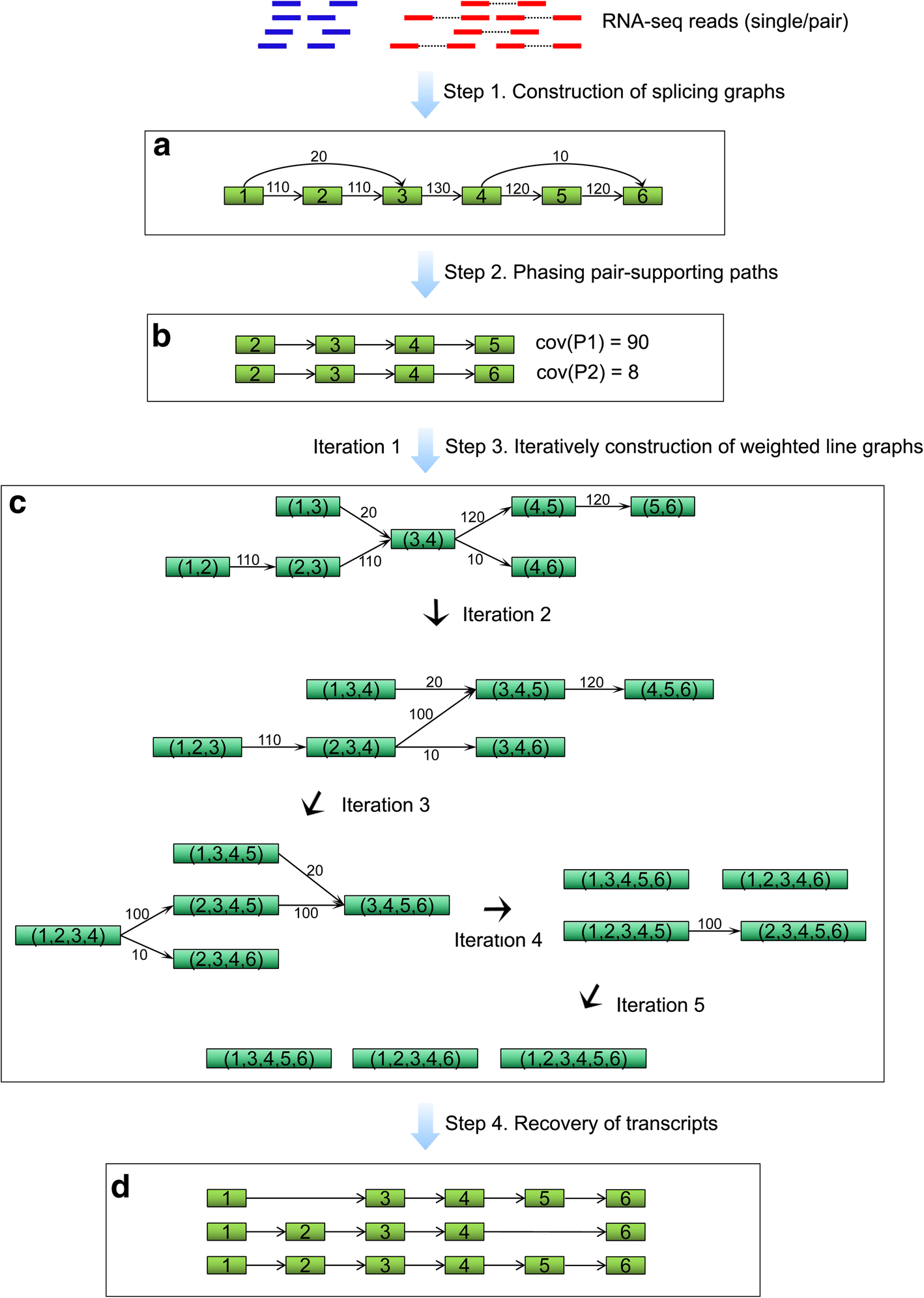 Fig. 6