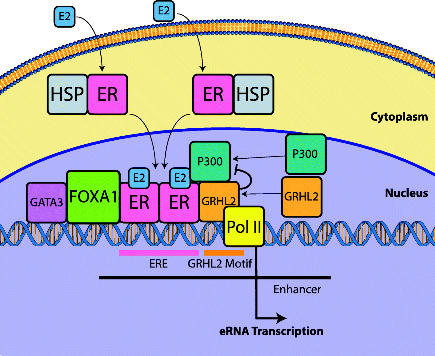 Fig. 10