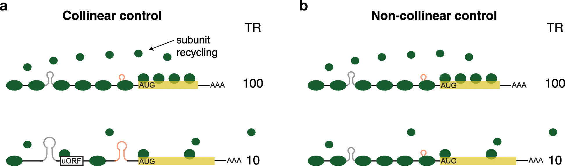 Fig. 12