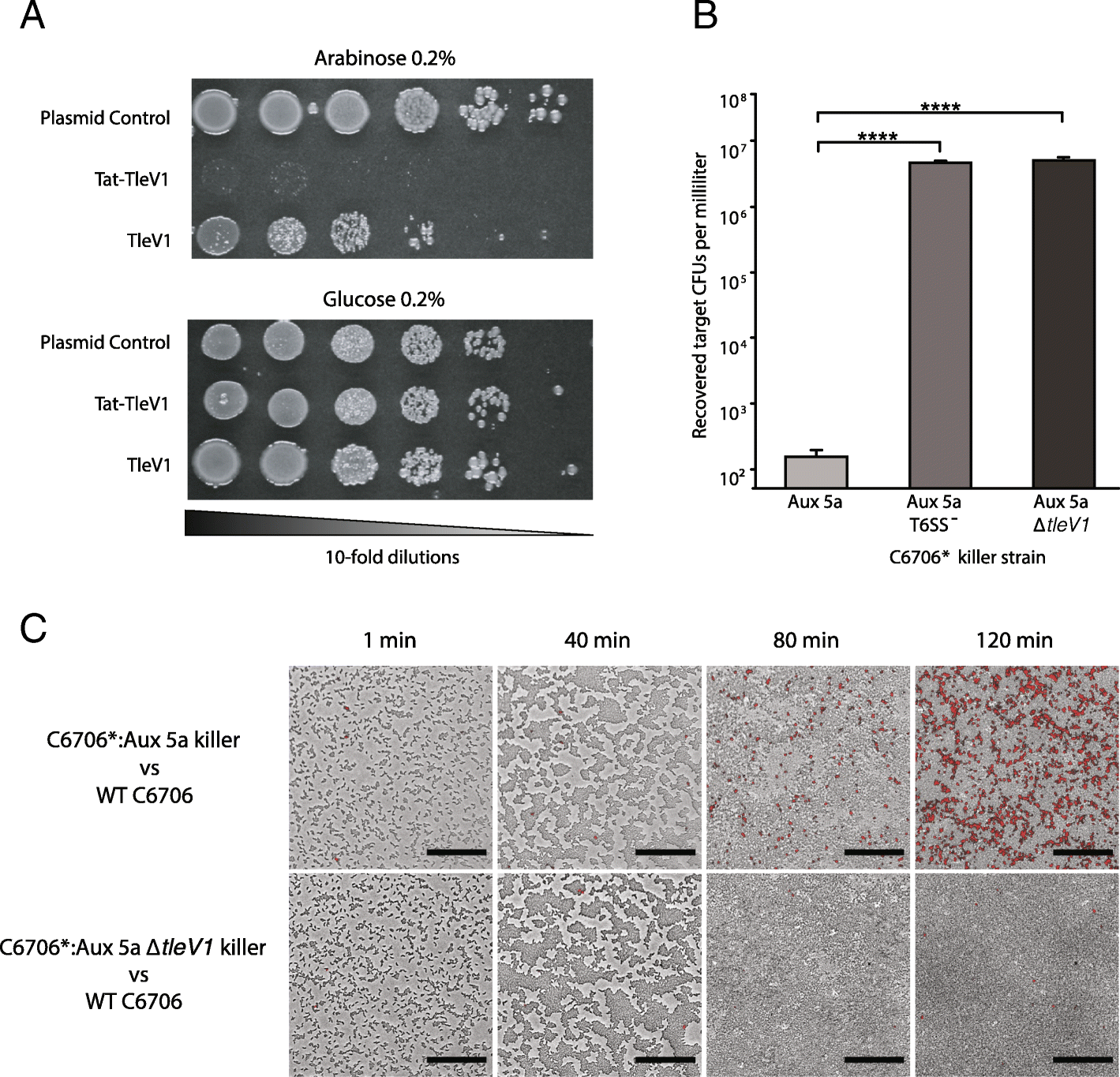 Fig. 4