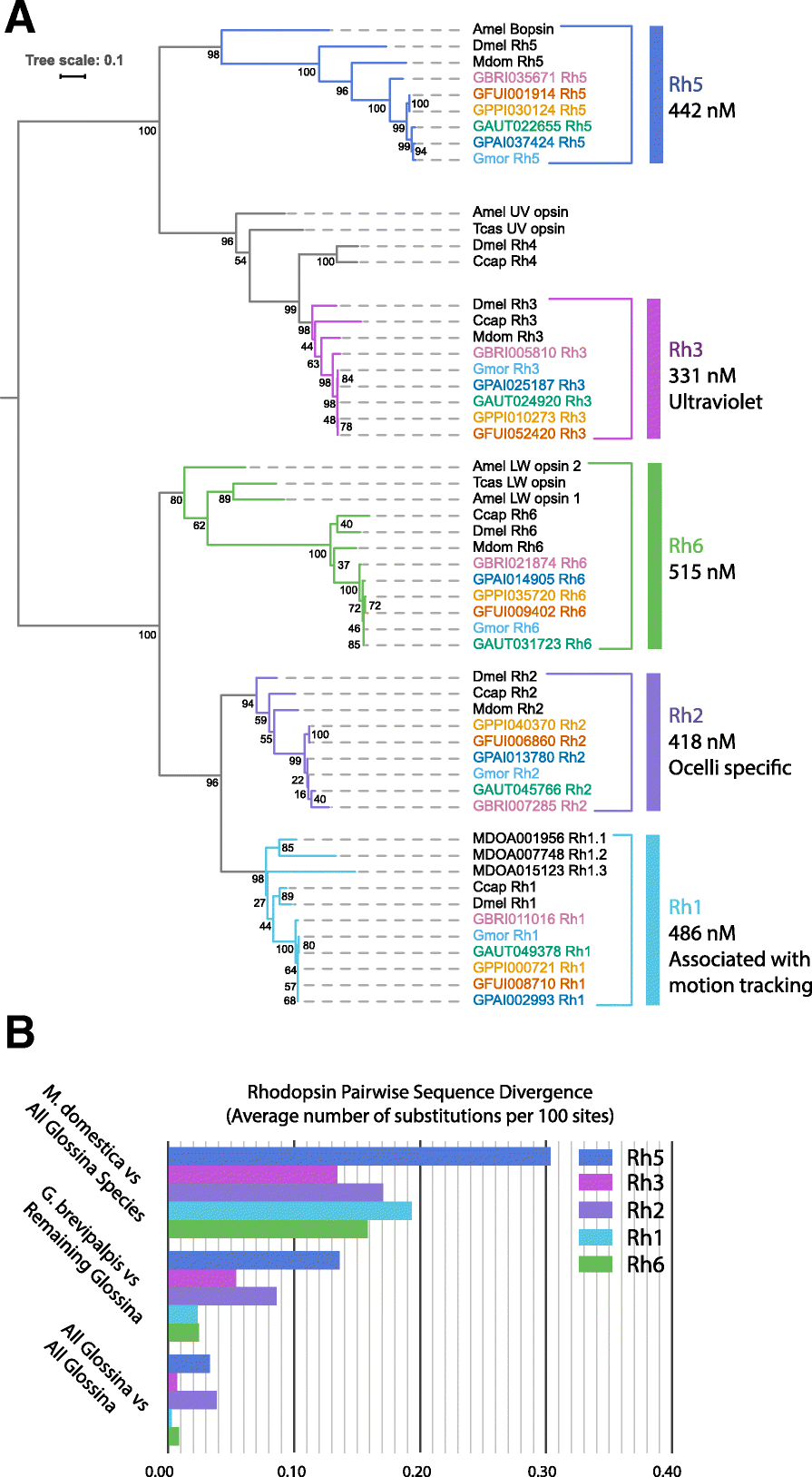 Fig. 12