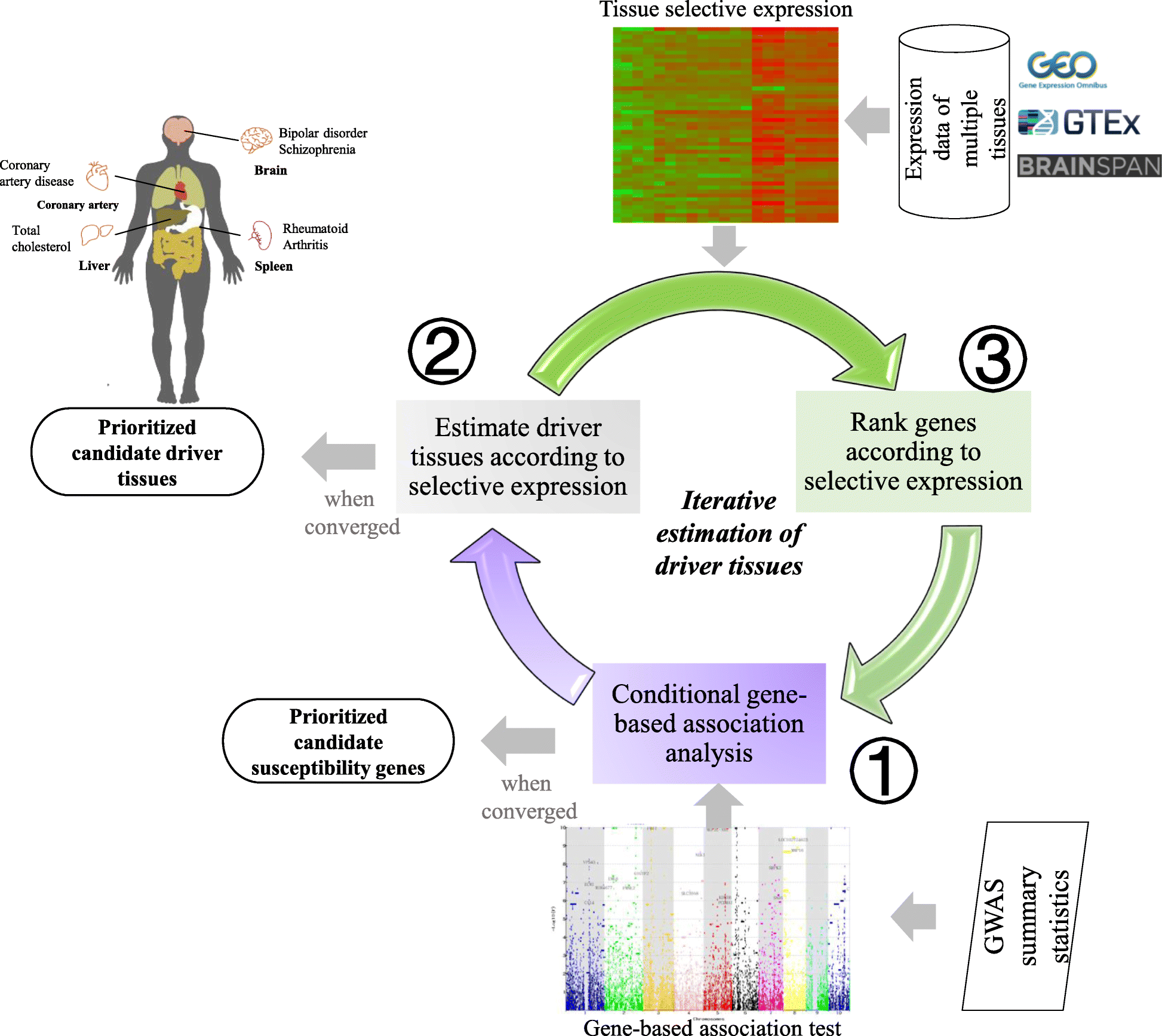 Fig. 1