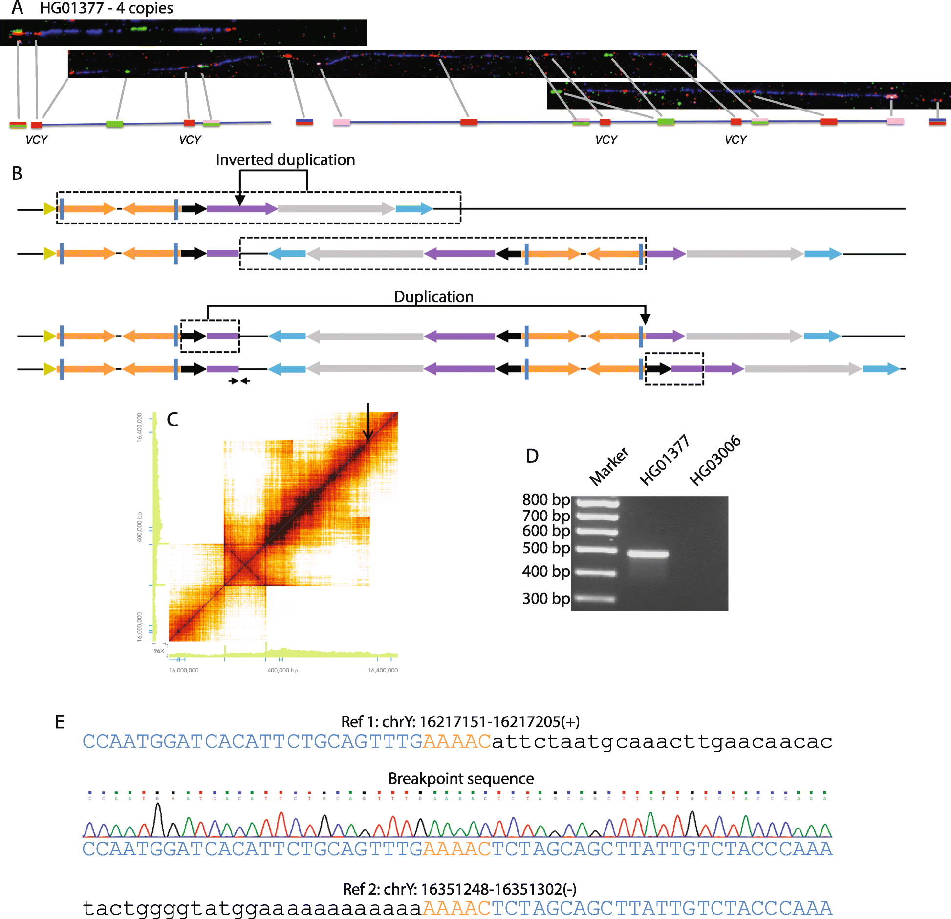 Fig. 4