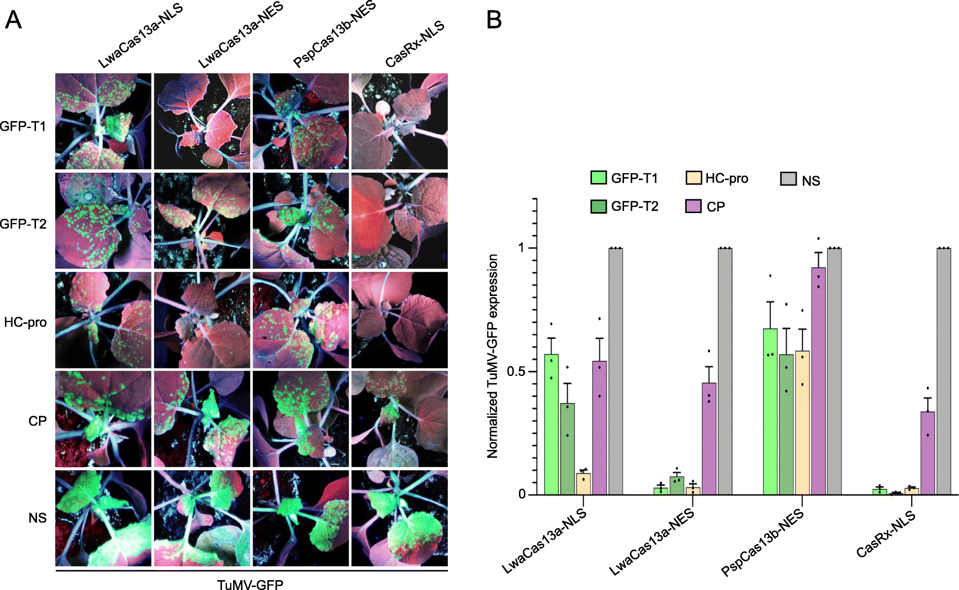 Fig. 4