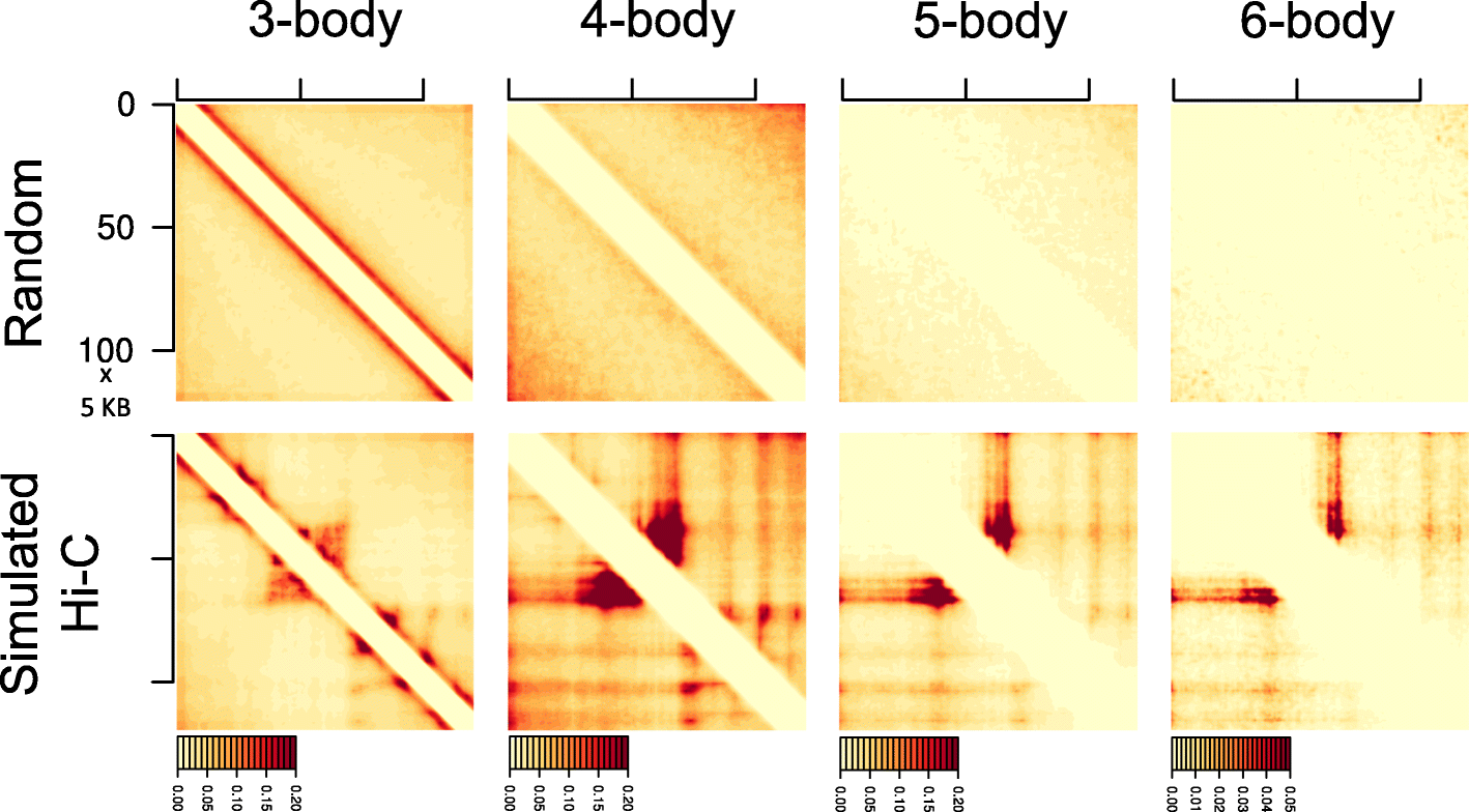 Fig. 10