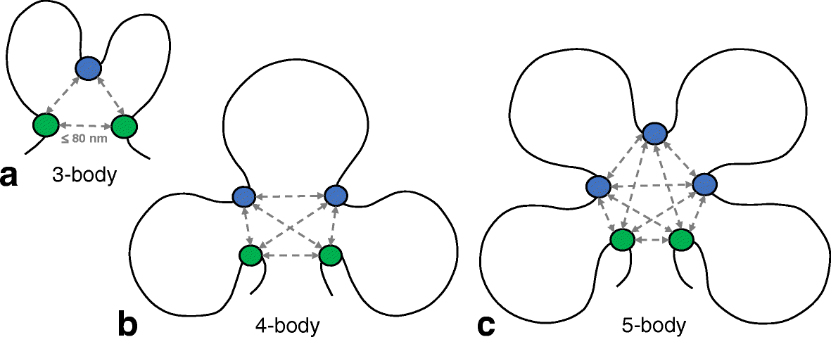 Fig. 5