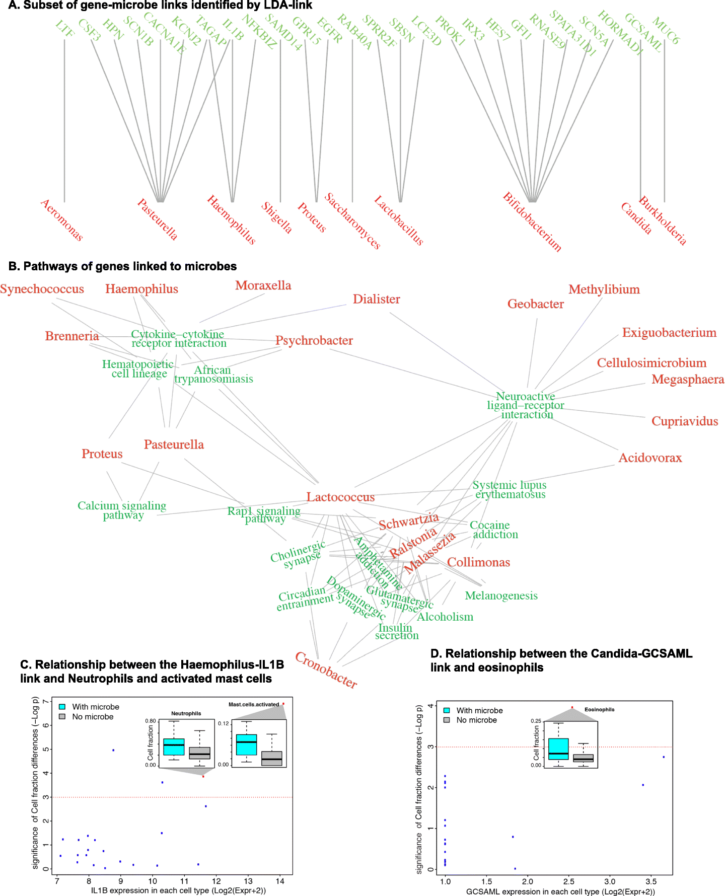 Fig. 5