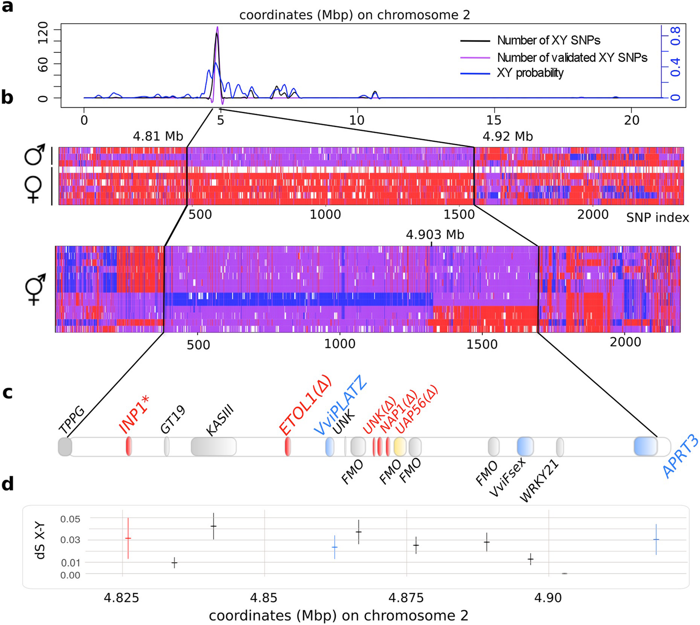 The wild grape genome sequence provides insights into the ...