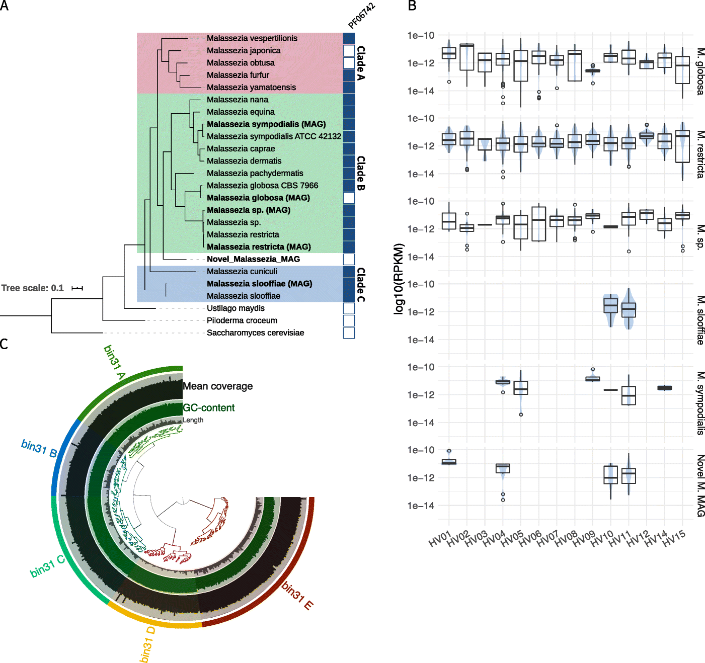 Fig. 3