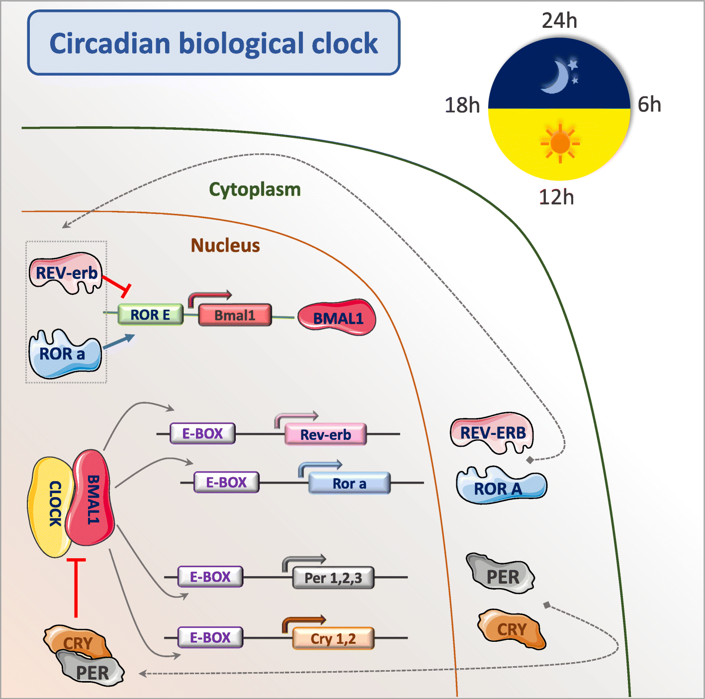 Fig. 2