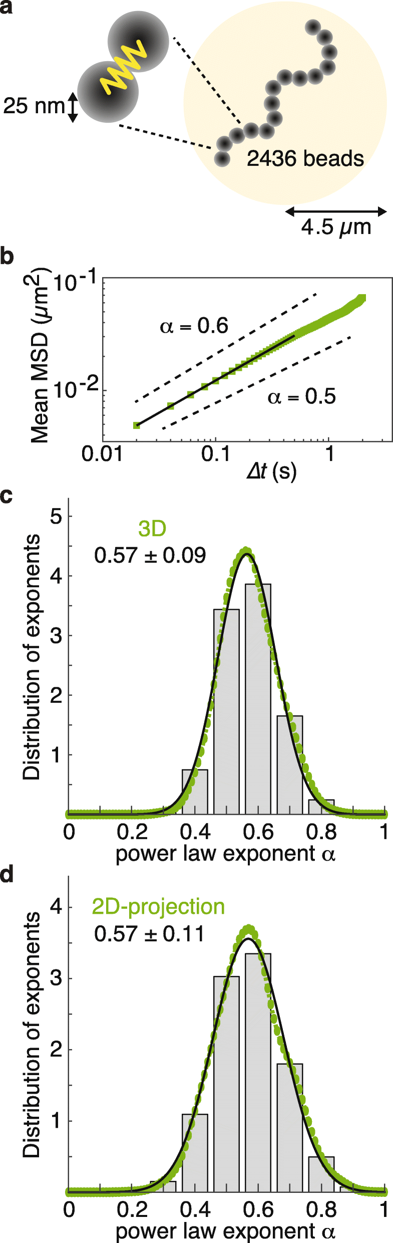 Fig. 5