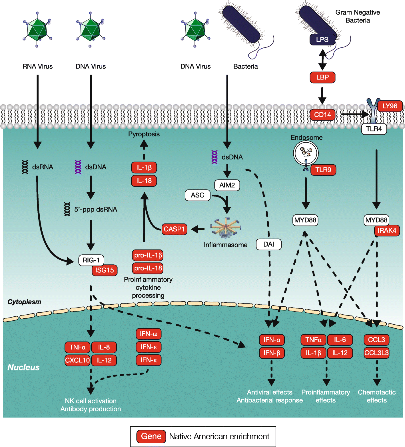 Fig. 6.