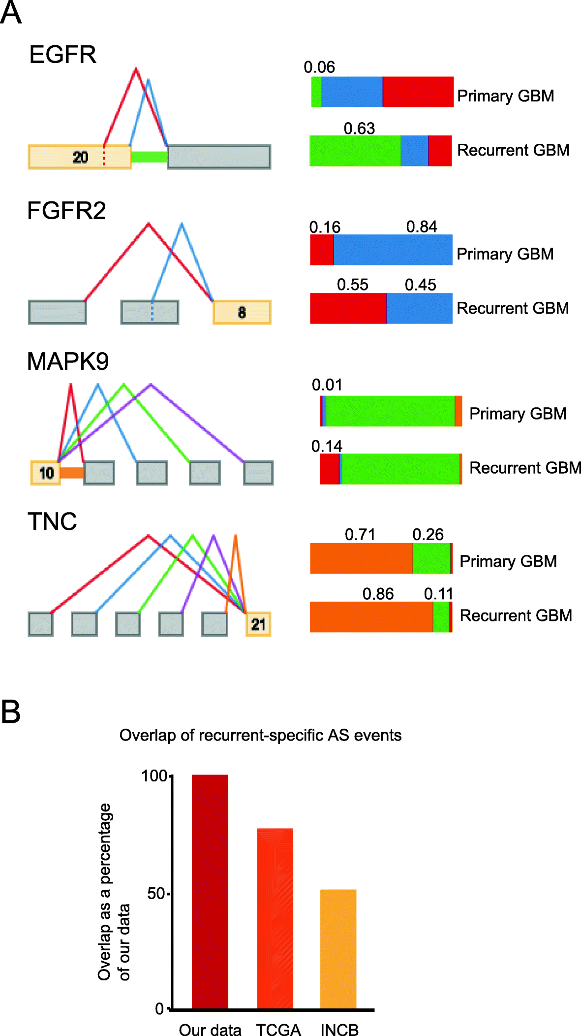 Fig. 5