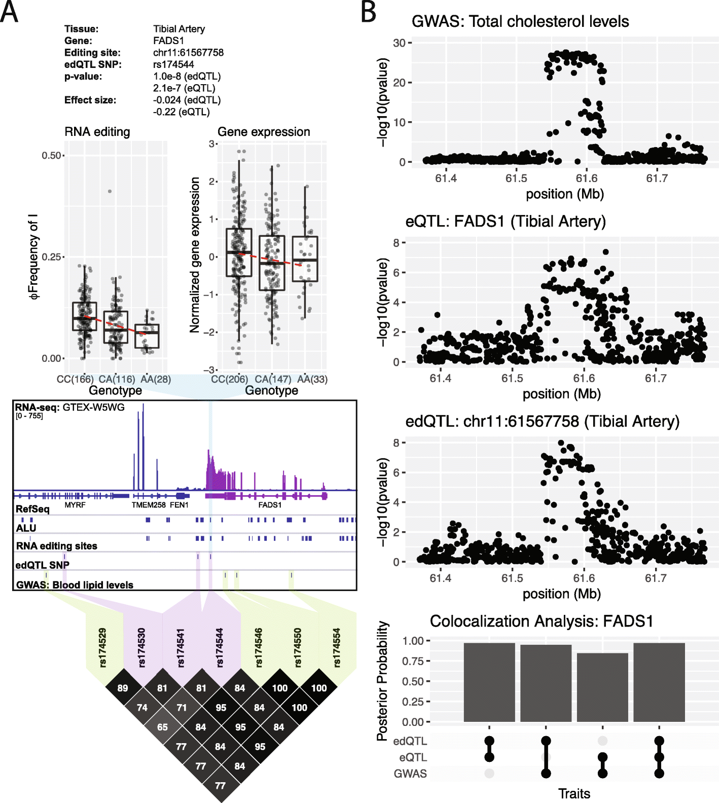 Fig. 5