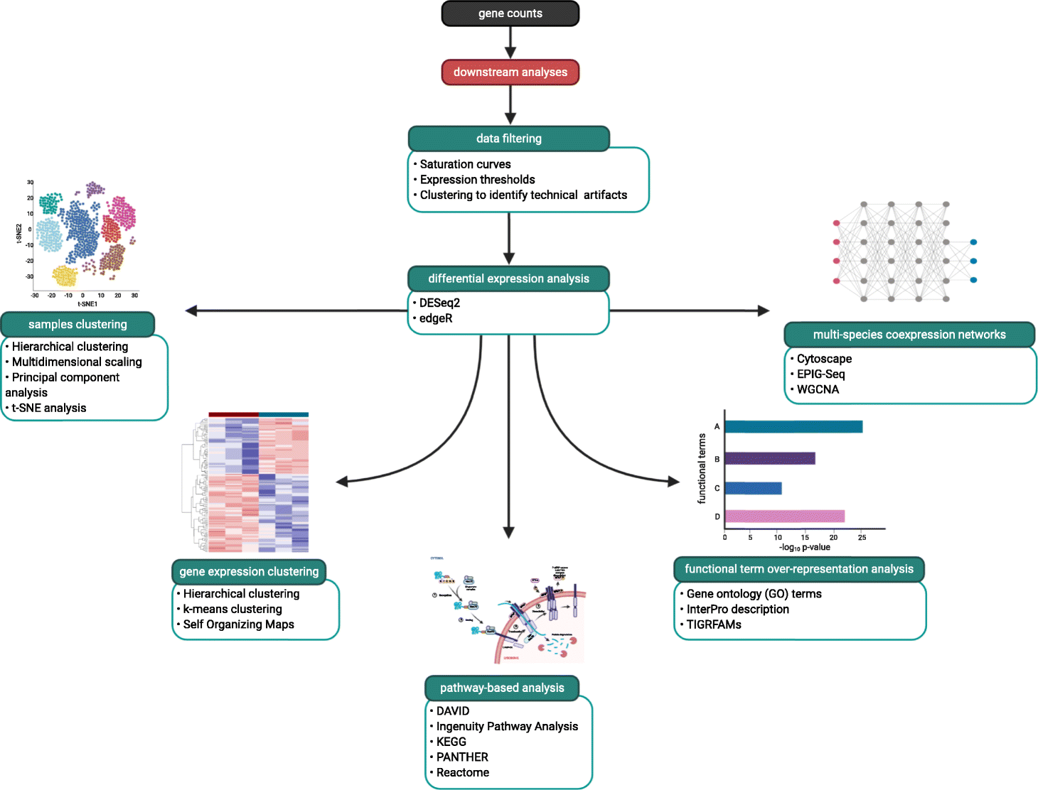 Fig. 4