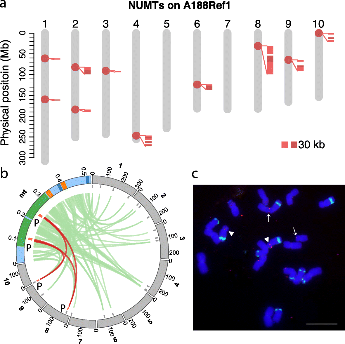 Fig. 3