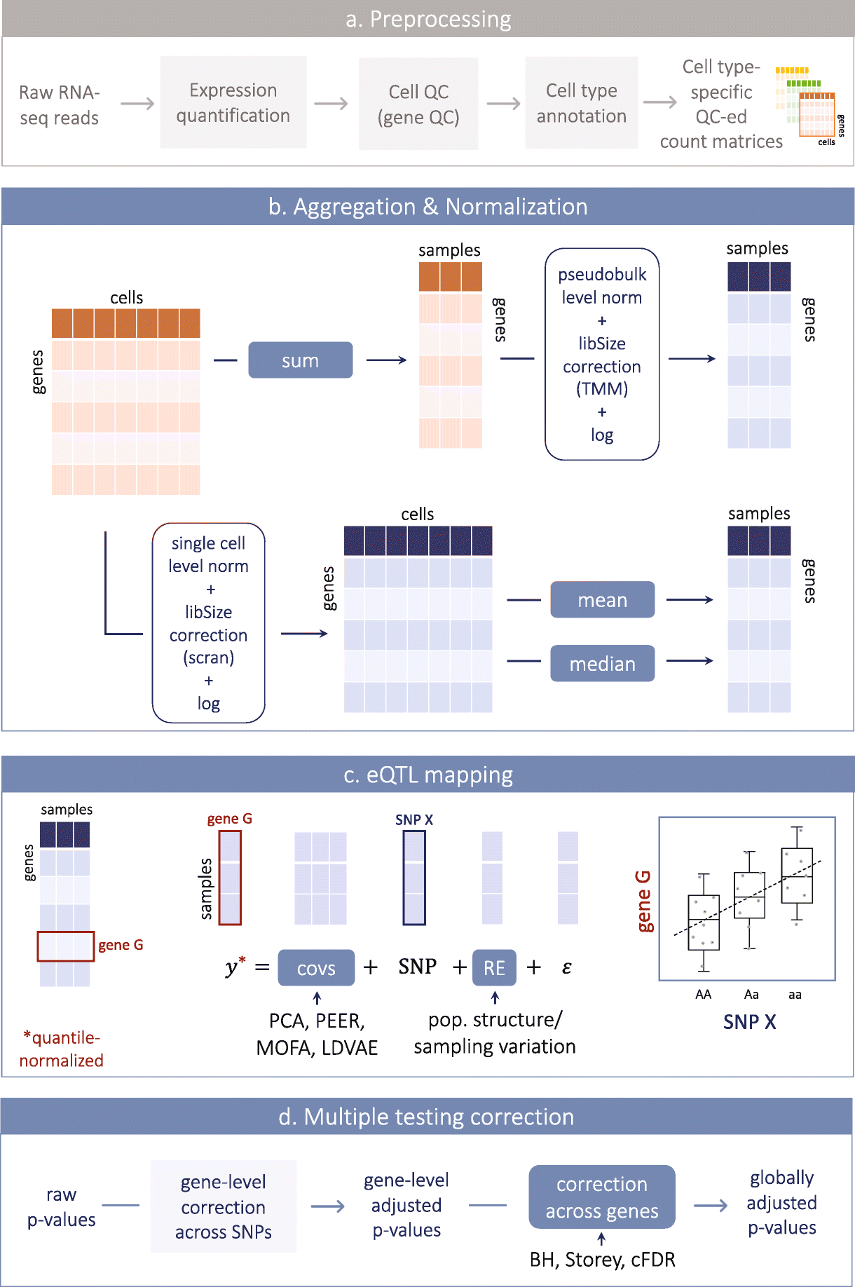 Optimizing expression quantitative trait locus mapping workflows for  single-cell studies | Genome Biology | Full Text