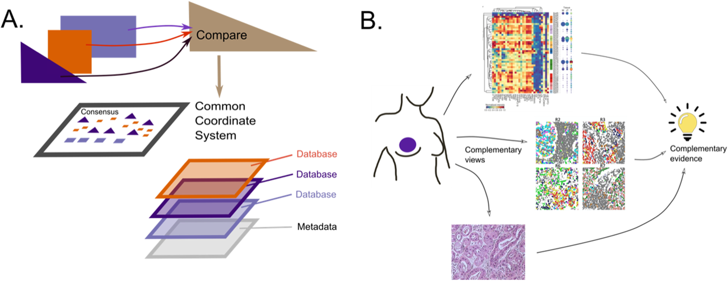 Community-wide hackathons to identify central themes in single-cell multi-omics