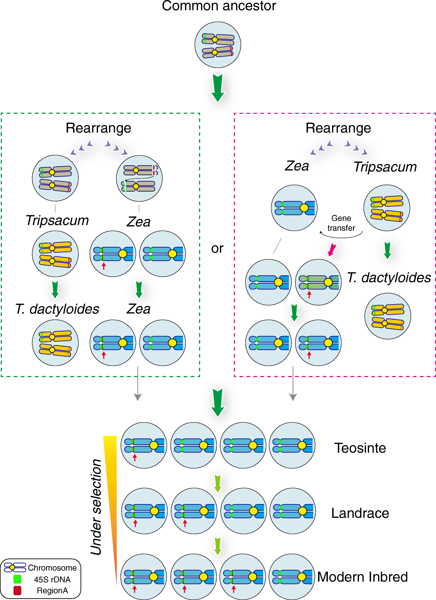 Fig. 6