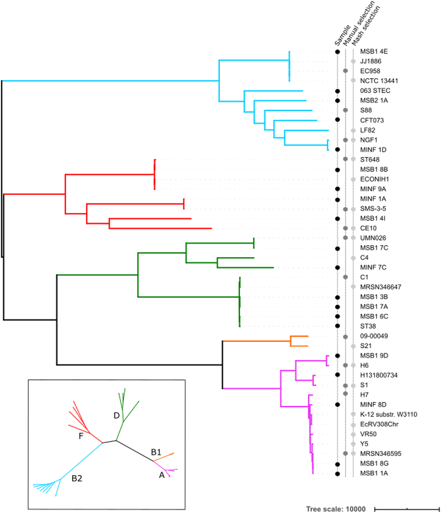 Fig. 4