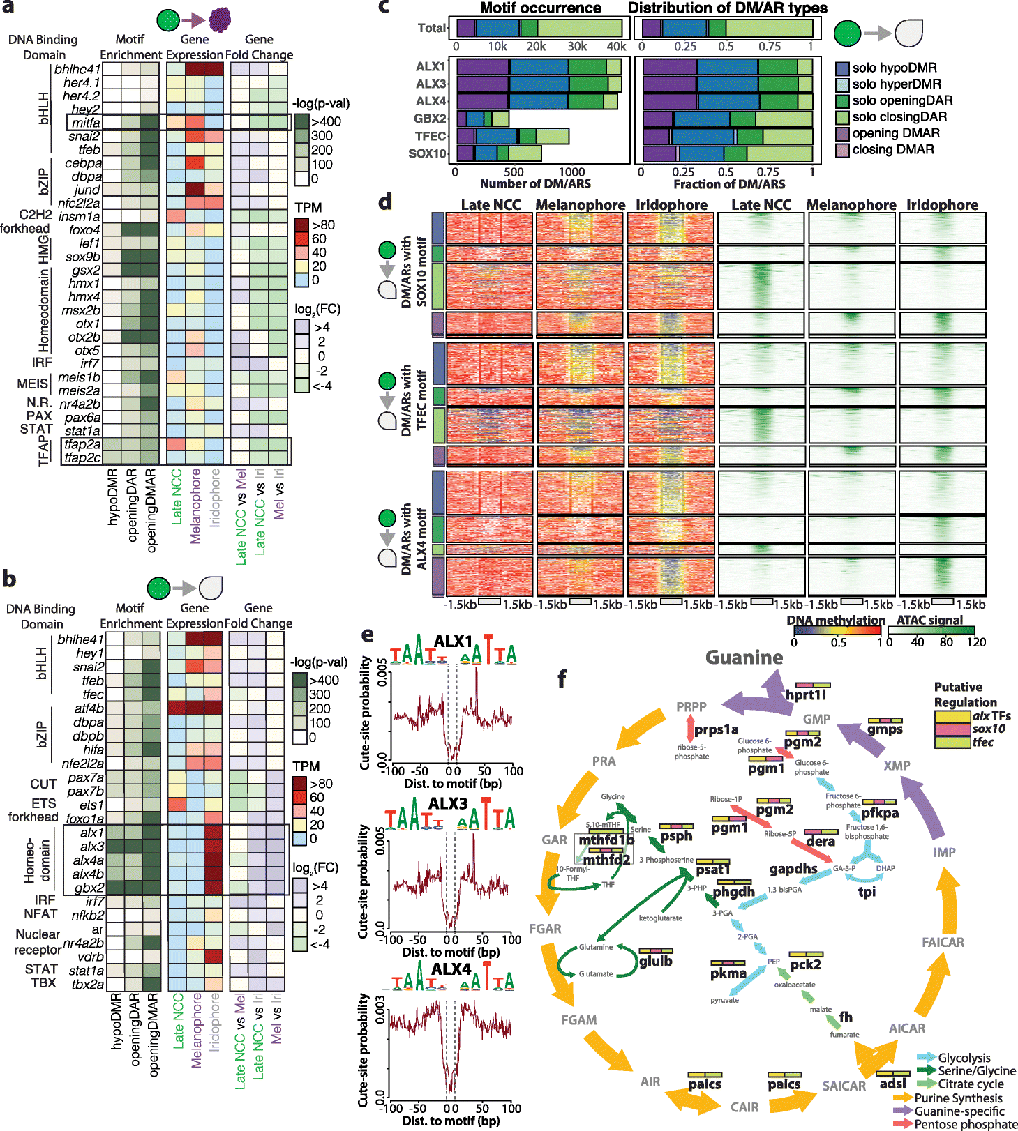 Fig. 3