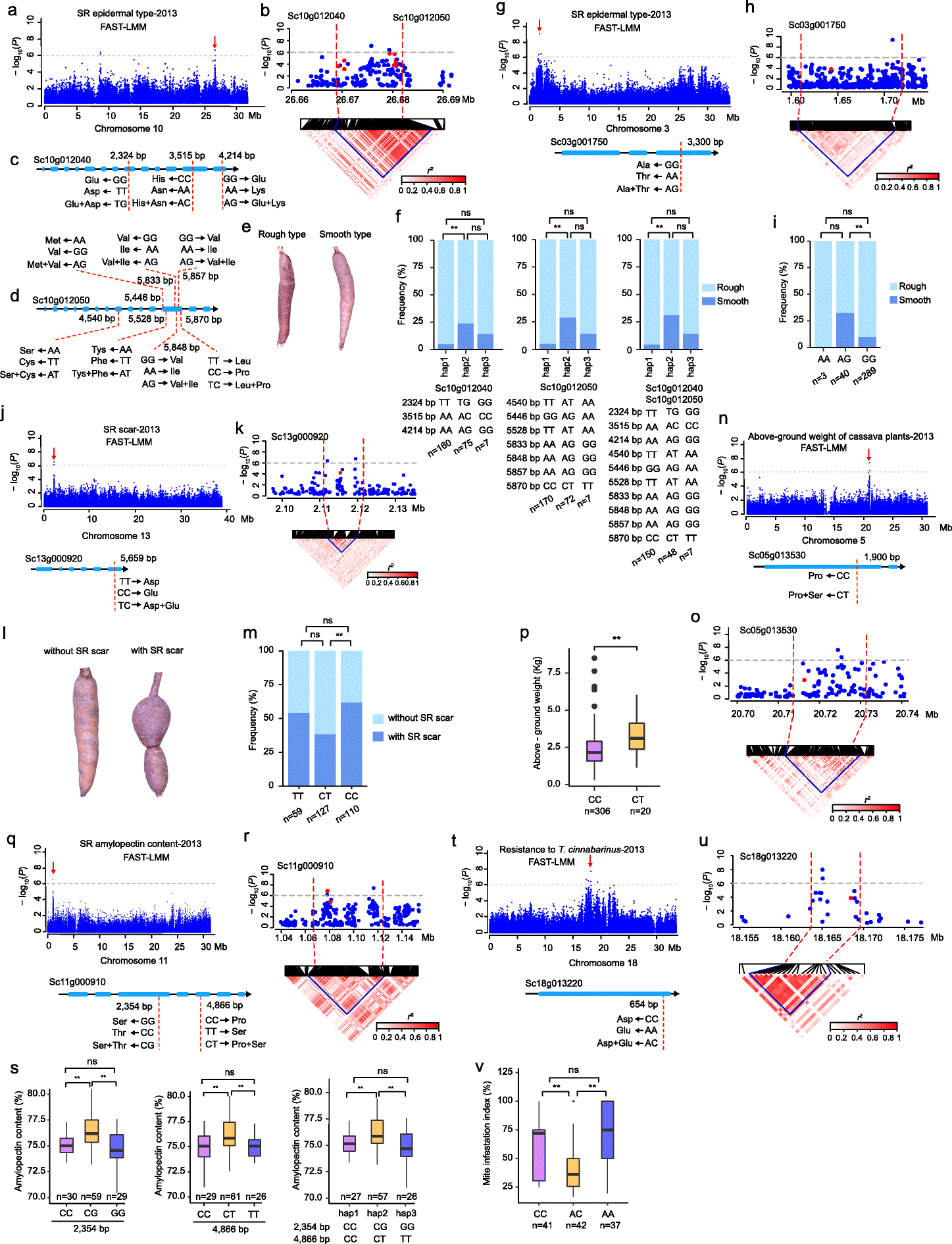 Fig. 2