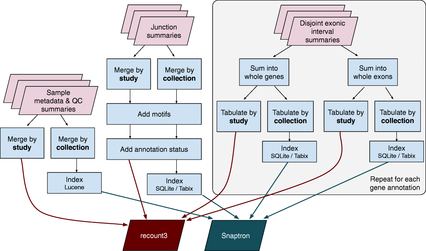 Fig. 9