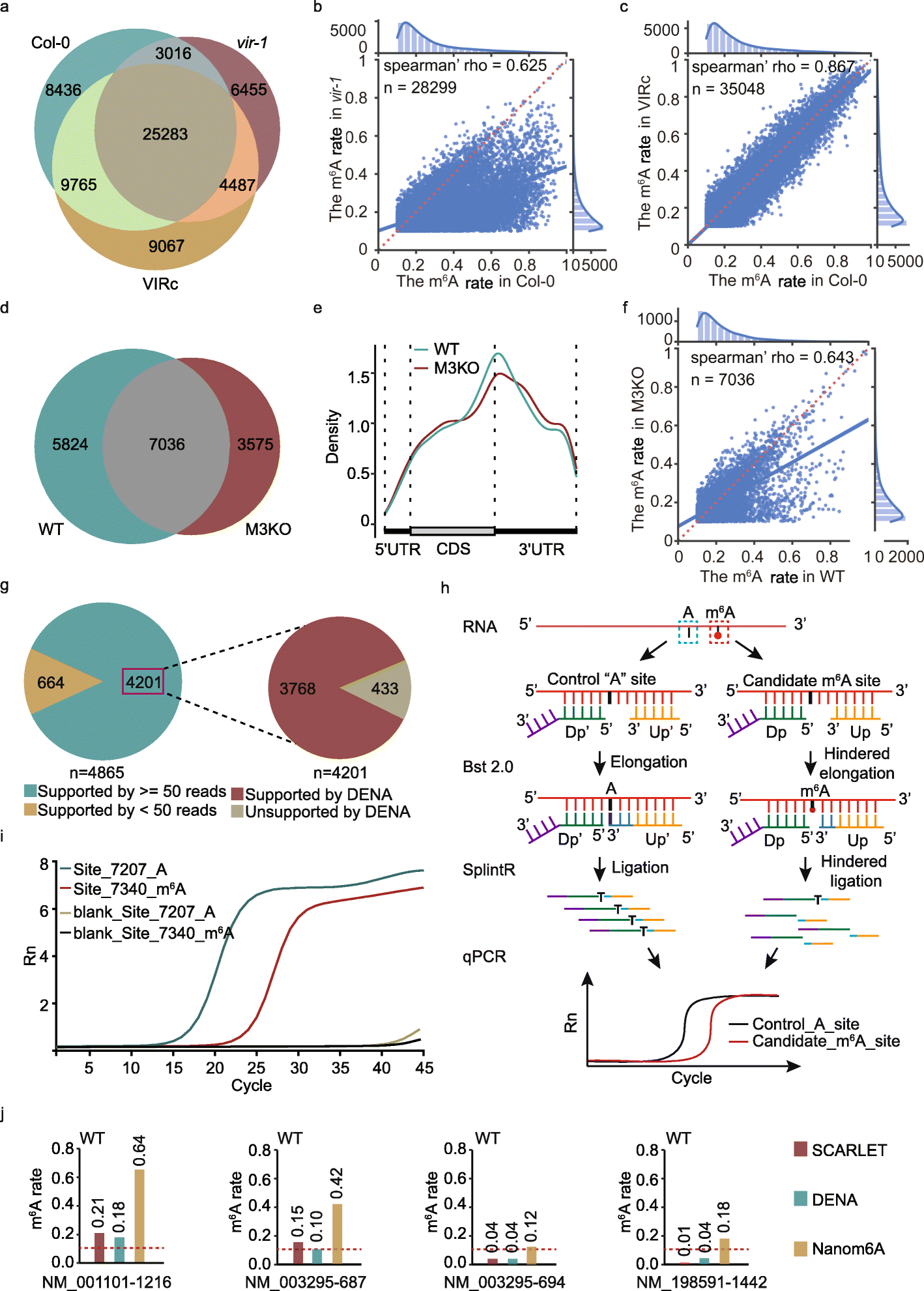 Fig. 4