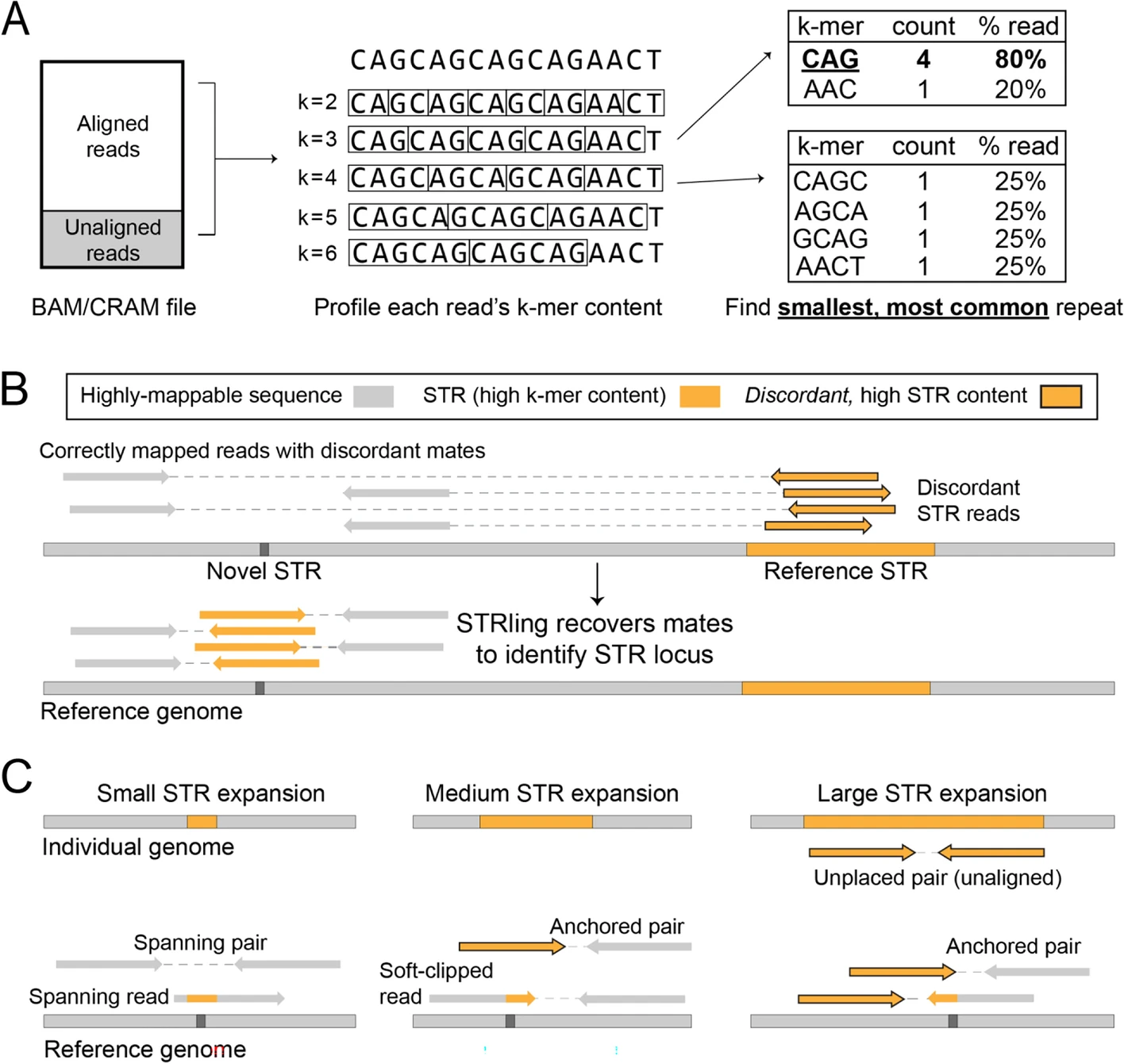 STRling: a k-mer counting approach that detects short tandem repeat expansions at known and novel loci