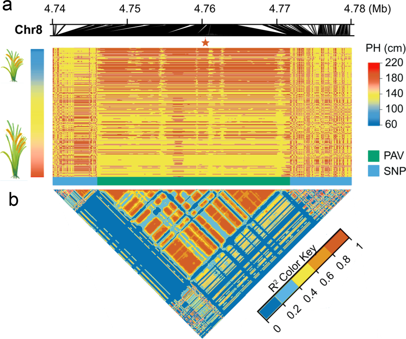 Fig. 7