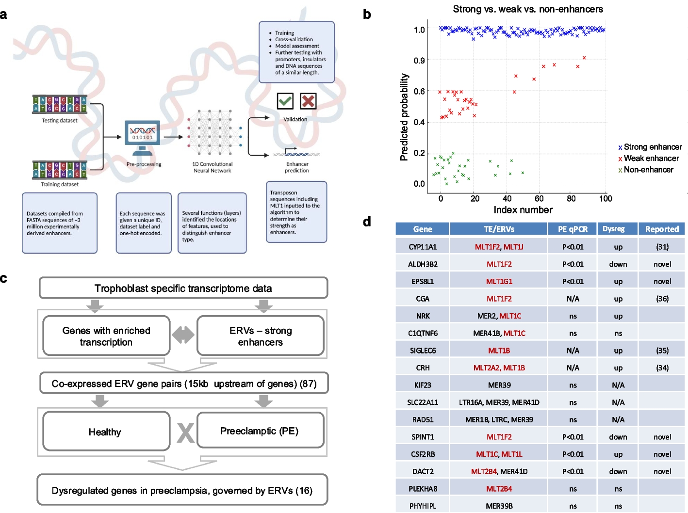 プレエクランプシアリスクの特定に役立つDNA発見(DNA Discovery Could Help Identify Mothers at Risk of Pre-Eclampsia)