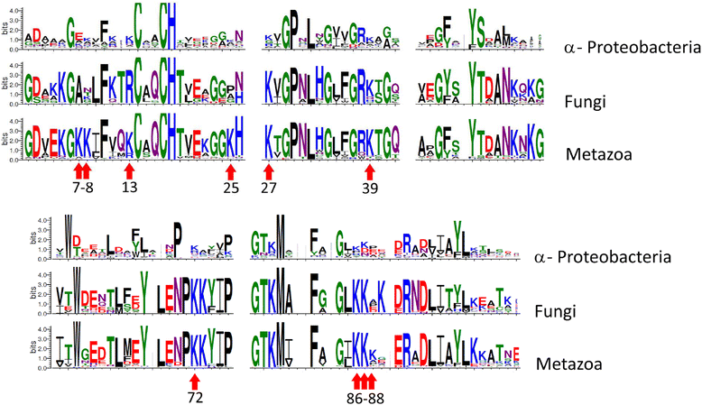 Fig. 9