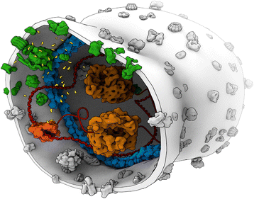 Fig. 2