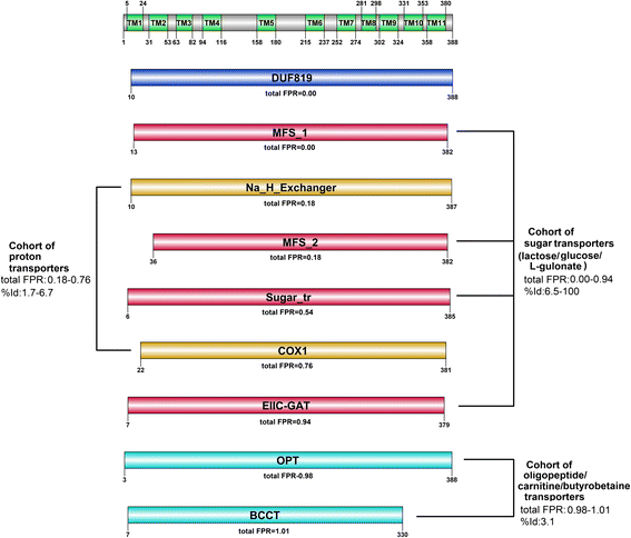 Fig. 10