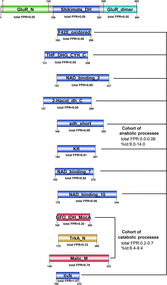 Fig. 8