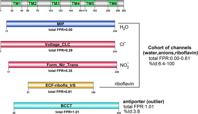 Fig. 9