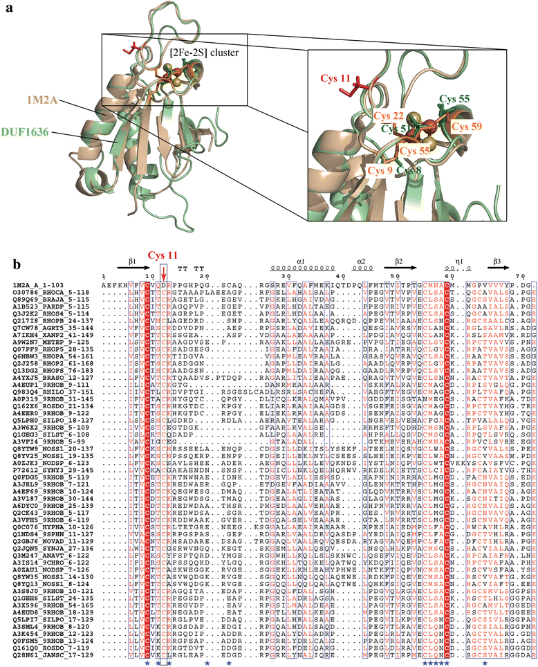 Fig. 8