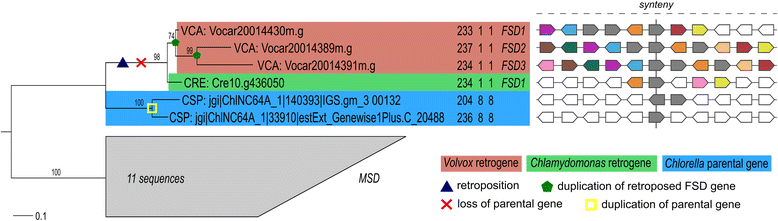 Fig. 4