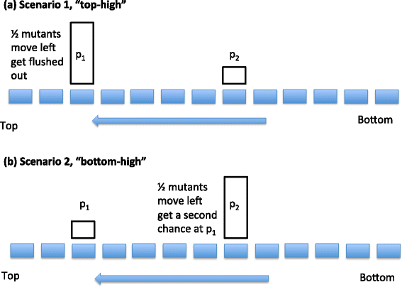 Fig. 10